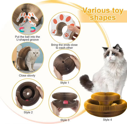 Magic Cat Fun Board