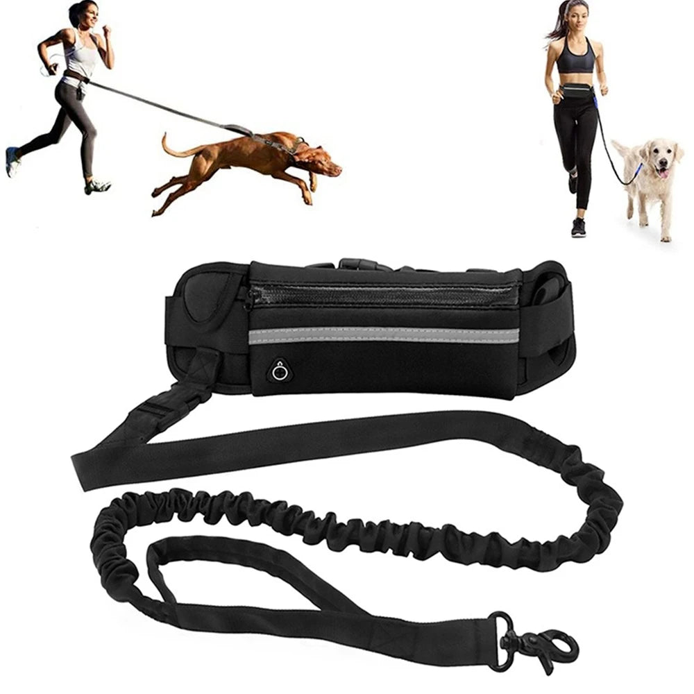 Hands-Free Running Dog Leash
