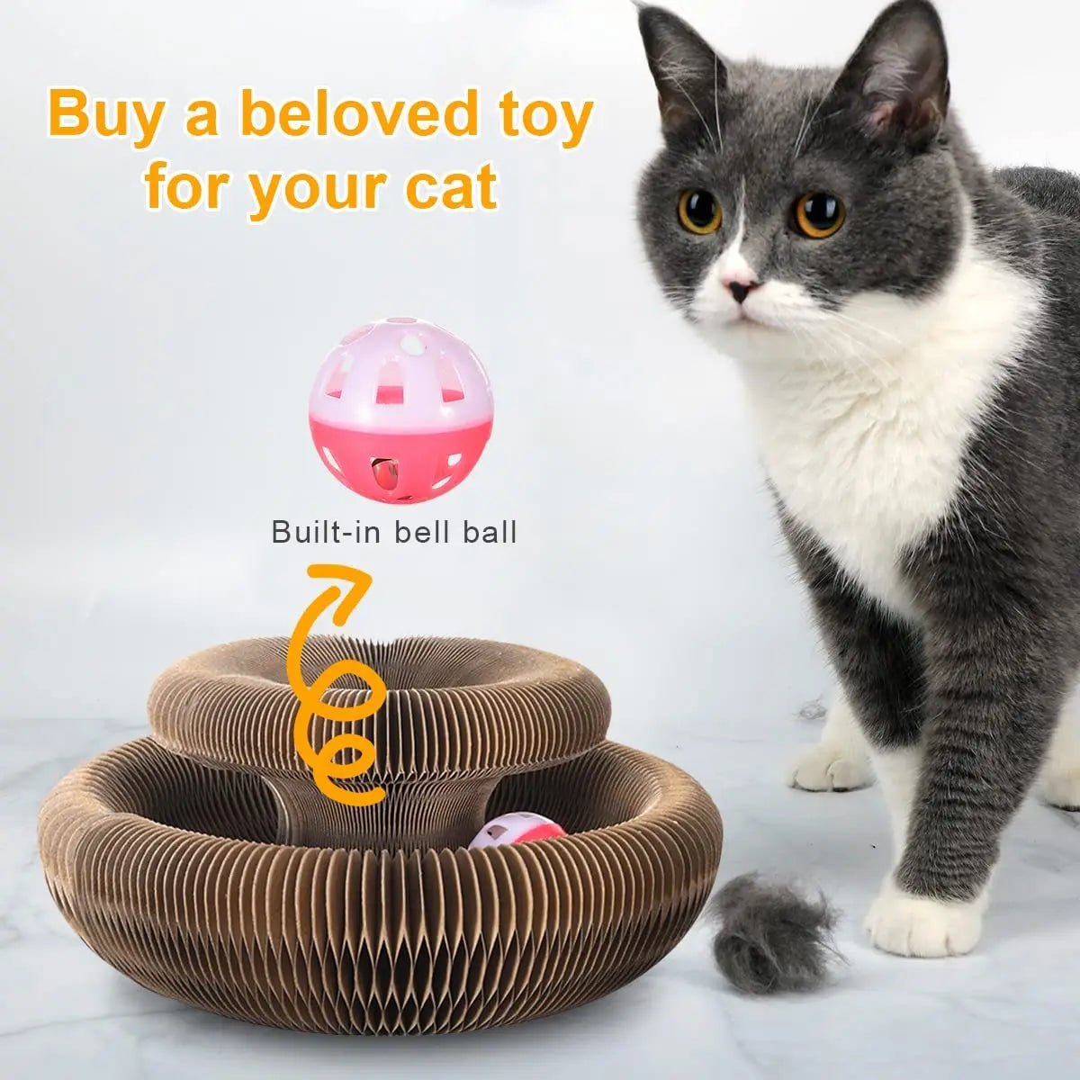Magic Cat Fun Board