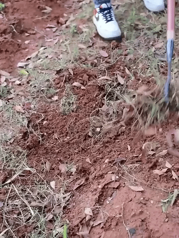 Garden Master Weed Rake