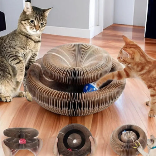 Magic Cat Fun Board