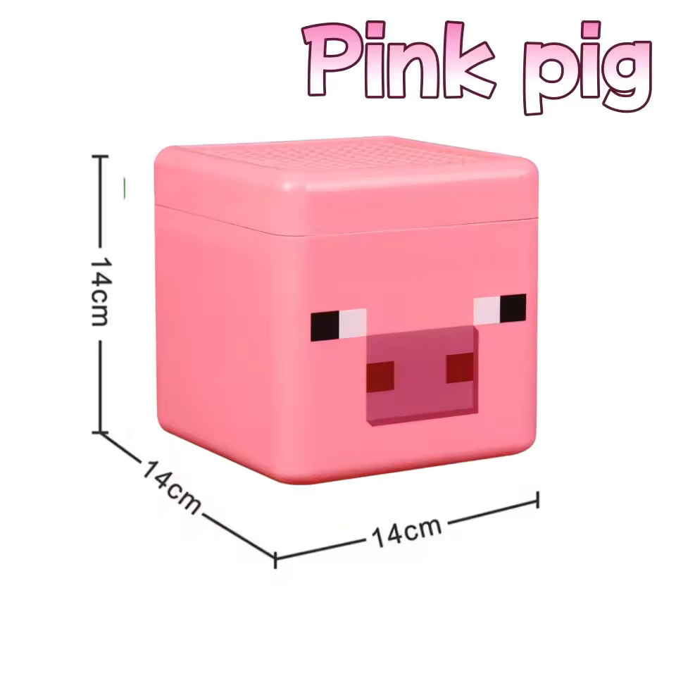 Magnetic Blocks Storage Box